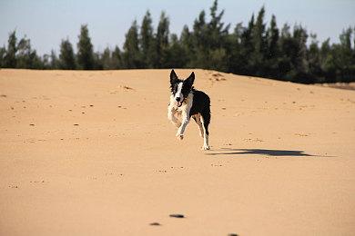 横向卷轴动作游戏《百英雄传：崛起》5月11日正式发售  售价66元